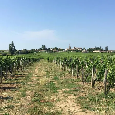 Chateau Soutard Cadet サン・テミリオン