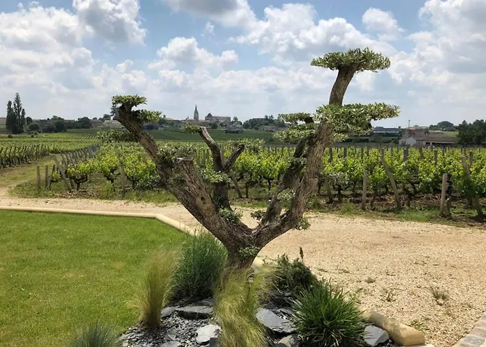 Βίλα Chateau Soutard Cadet *