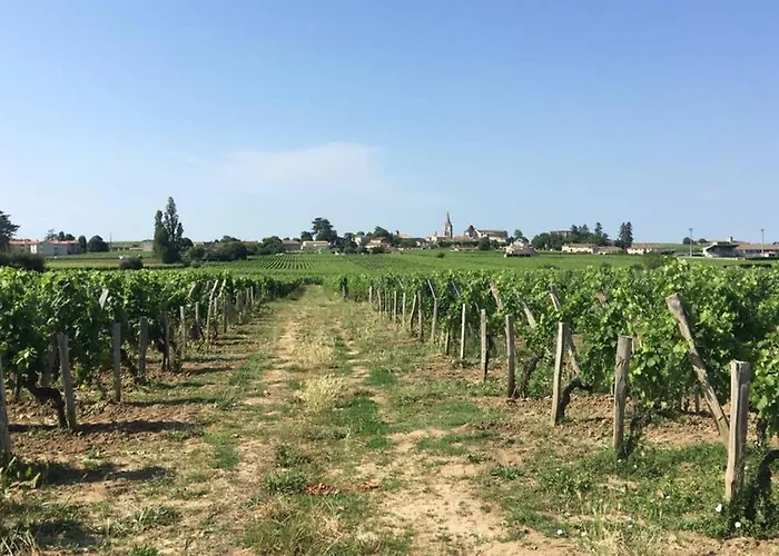 Chateau Soutard Cadet Σεντ Εμιλιόν